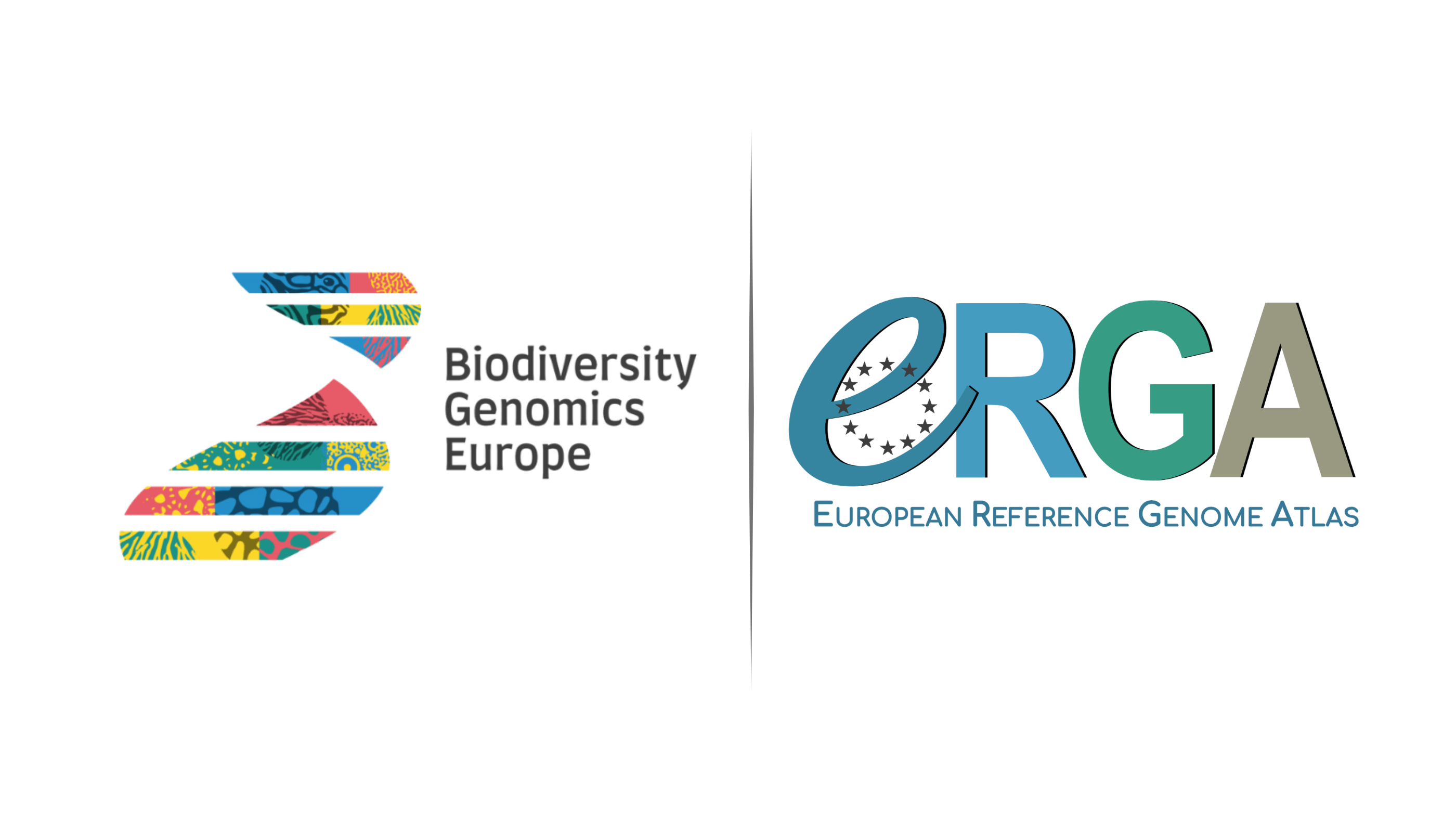 European Reference Genome Atlas (ERGA): Biodiversity Genomics Europe (BGE) Logo