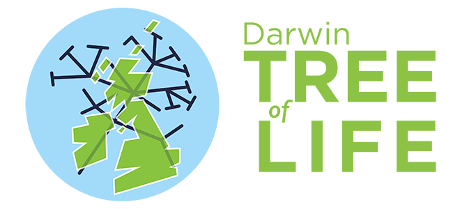 Darwin Tree of Life Logo
